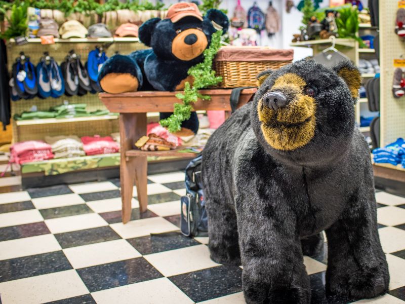 Stuffed bears at Jolly Trolley Variety in Dushore, PA