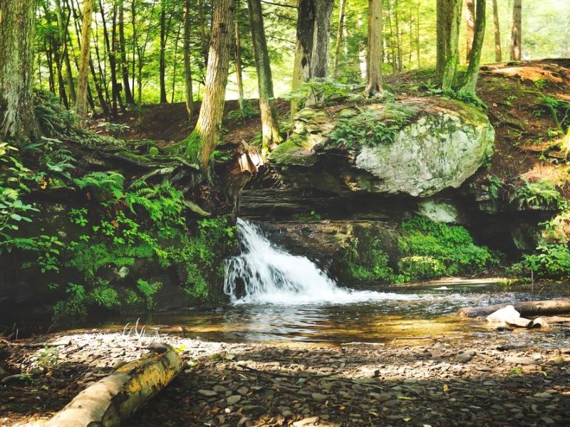 Slumber Valley Campground