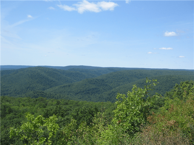 Loyalsock State Forest