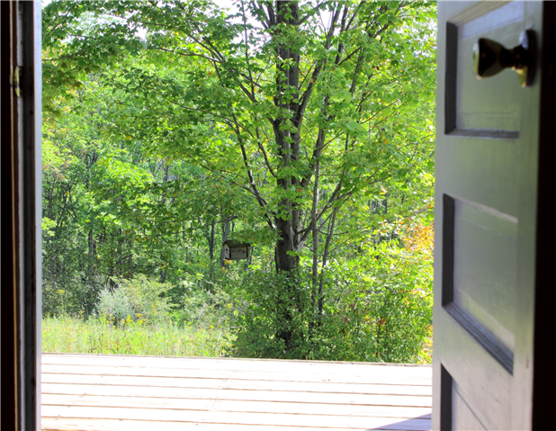 First Place Winner: View From My Favorite Chair. Photographer-Christopher Bickel. Picture of a birdhouse in a tree, out a front door view.