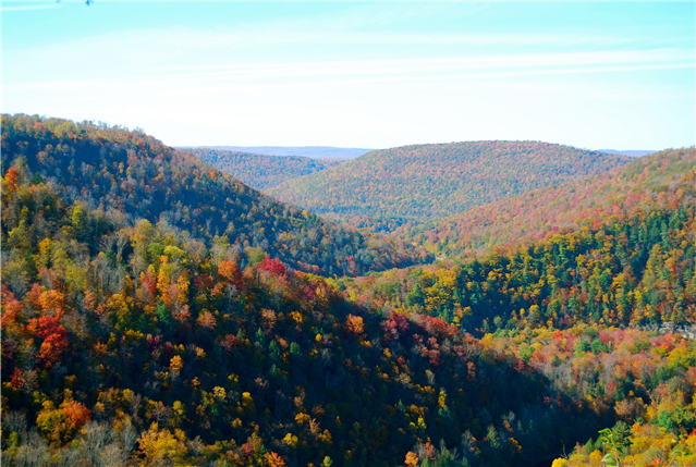 Third Place Winner: Worlds End State Park. Photographer-Heather Hohenwarter. Picture of Worlds End State Park, showing the Fall foliage changing colors.