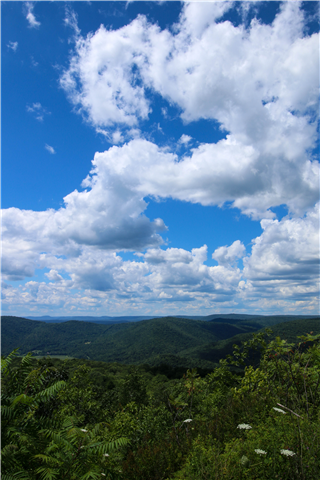 Third Place Winner: Worlds End State Park, Sullivan County; photo by Jessica Ickes. Photograph from a high perspective looking over other mountains with a clear blue sky and fluffy white clouds.