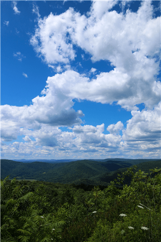 Third Place Winner: Worlds End State Park, Sullivan County; photo by Jessica Ickes. Photograph from a high perspective looking over other mountains with a clear blue sky and fluffy white clouds.