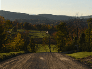 1st Place, Scenic Landscape; Country Road, Wyoming County; by Joanna Wallace