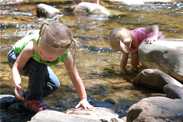 Grand Prize; Marine Explorers, Worlds End State Park; by Brandy Whitenight