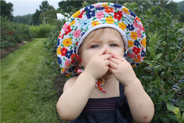 1ST PLACE FOOD CATEGORY: Berry, Berry Fresh Snack, Erika Bruckner