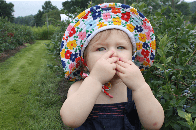 1ST PLACE FOOD CATEGORY: Berry, Berry Fresh Snack, Erika Bruckner