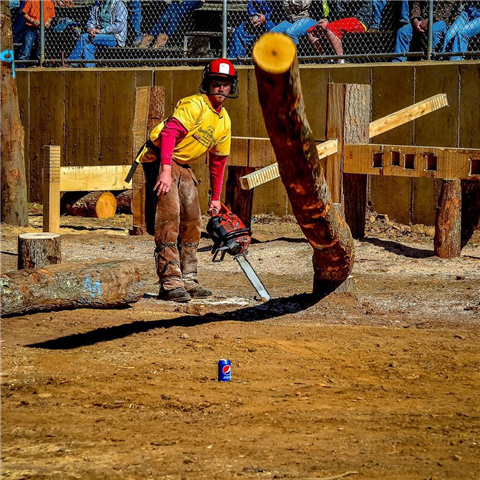 GRAND PRIZE: Fall Festival Lumberjack/Chainsaw Carving Competition; Michael Brooks