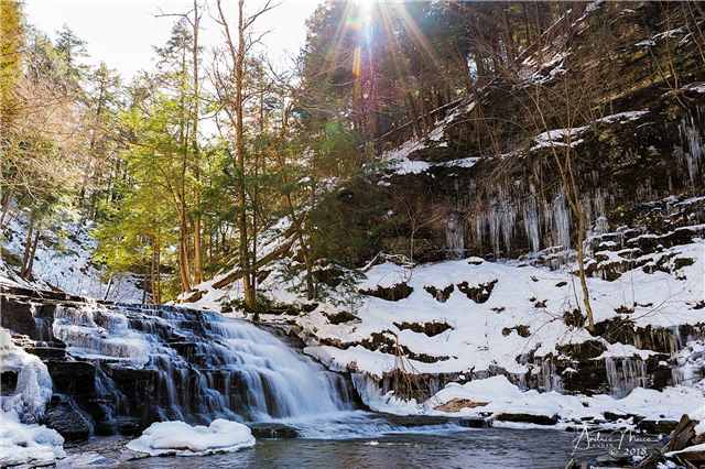 GRAND PRIZE HONORABLE MENTION: Salt Springs State Park; Andrea Mecca