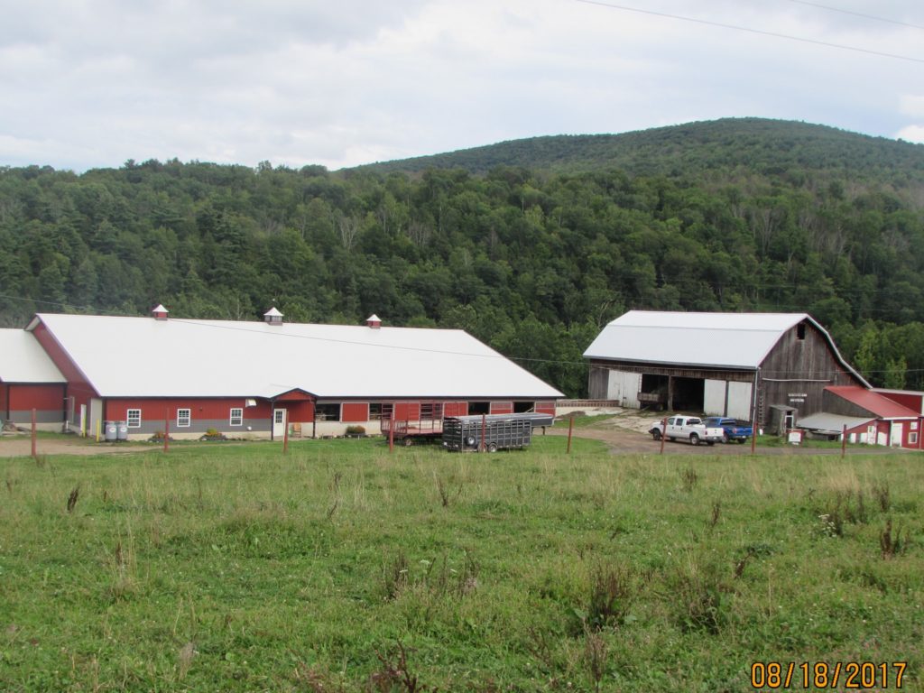 Henningstead Organic Farm