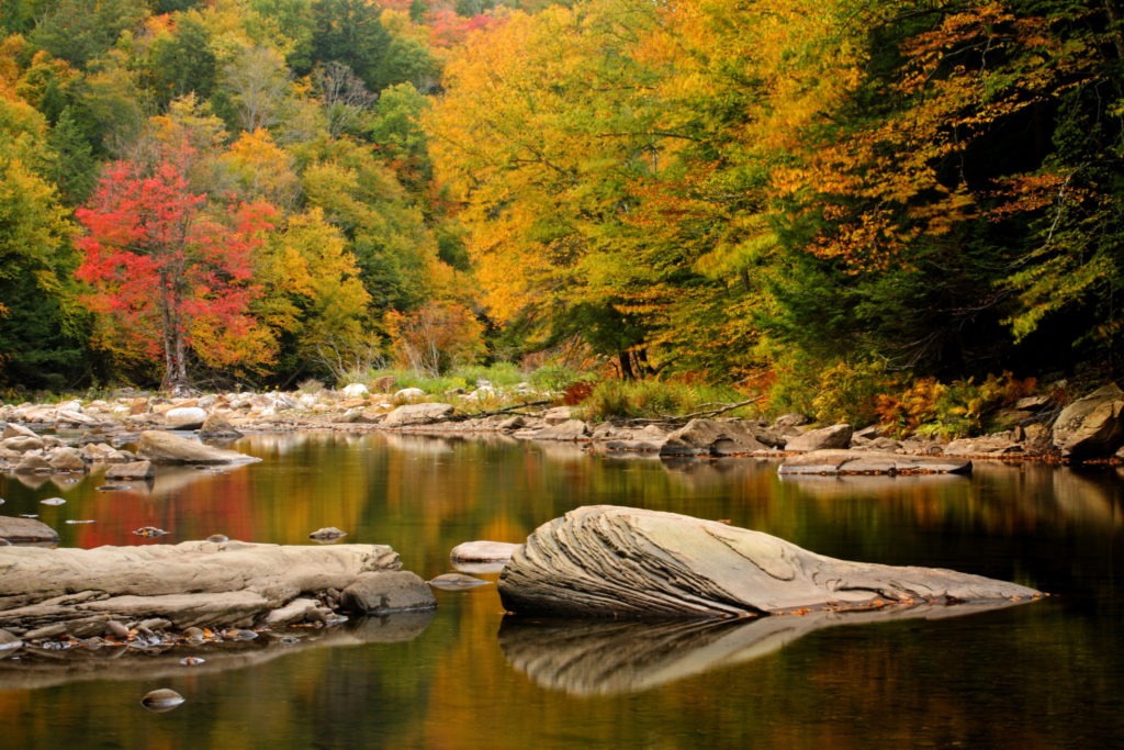 Loyalsock Creek with fall foliage reflecting in the water