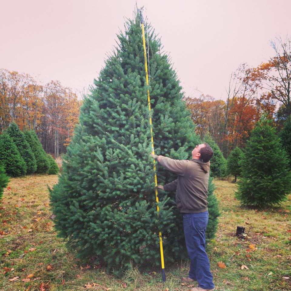 Bennie's Nursery Tree Farm in Tunkhannock, PA