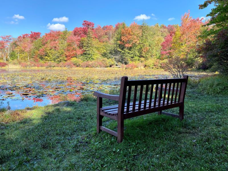 A bench beside the Outlet Pond in Eagles Mere