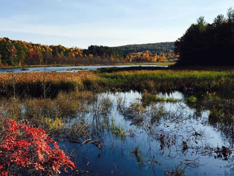 Davis Crossing Preserve