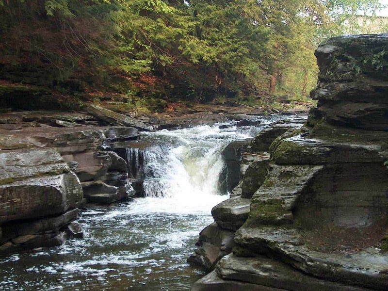 Little Rocky Glen Preserve