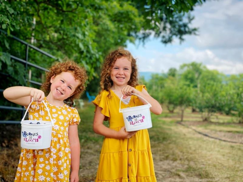 Berries & Blooms at High Horizons Farm