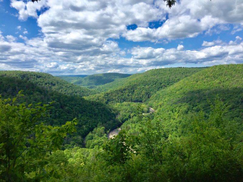 Loyalsock Canyon Vista