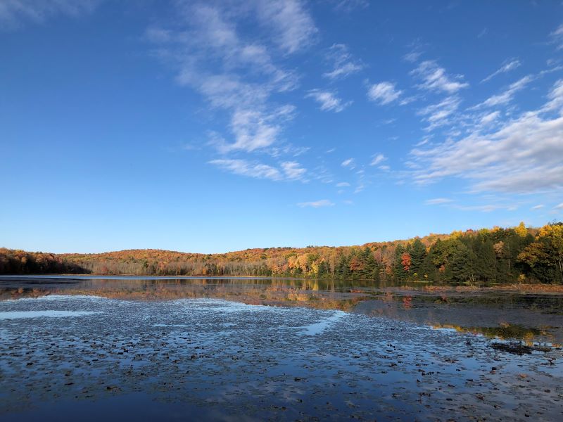 Fall foliage surrounds a lake