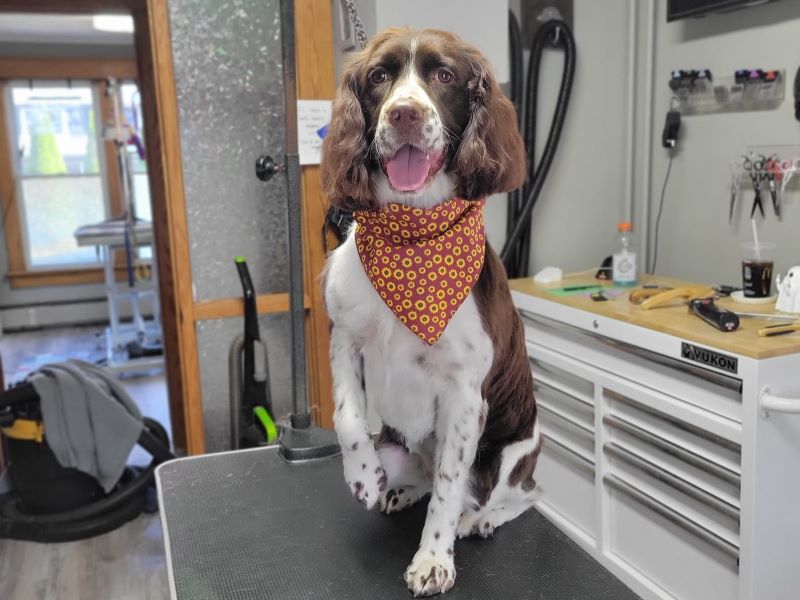 HoundHouse Grooming, LLC